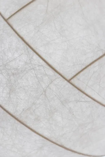 Turner 80 riippuvalaisin - Valkoinen - Pholc