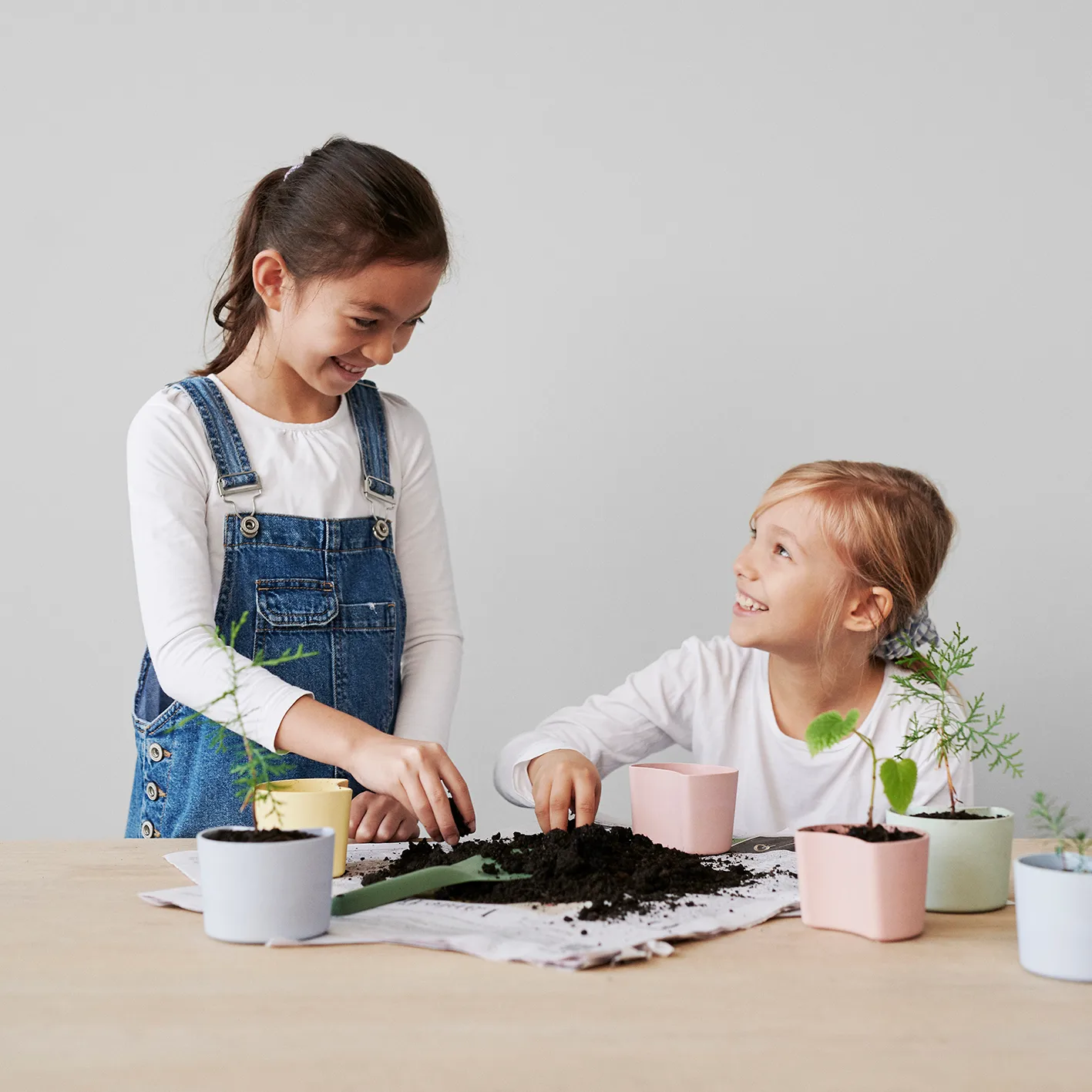 YOUR TREE -ruukku siemenillä, Vihreä (Mänty) RIG-TIG