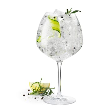 Premium ginlasi 93 cl 2-pack - Kirkas - Rosendahl