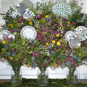 Magic Garden Foliage -lautanen 21 cm - Valkoinen-vihreä - Rosenthal