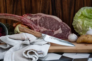 Satake Kaizen Petty -kuorimaveitsi - 12 cm - Satake