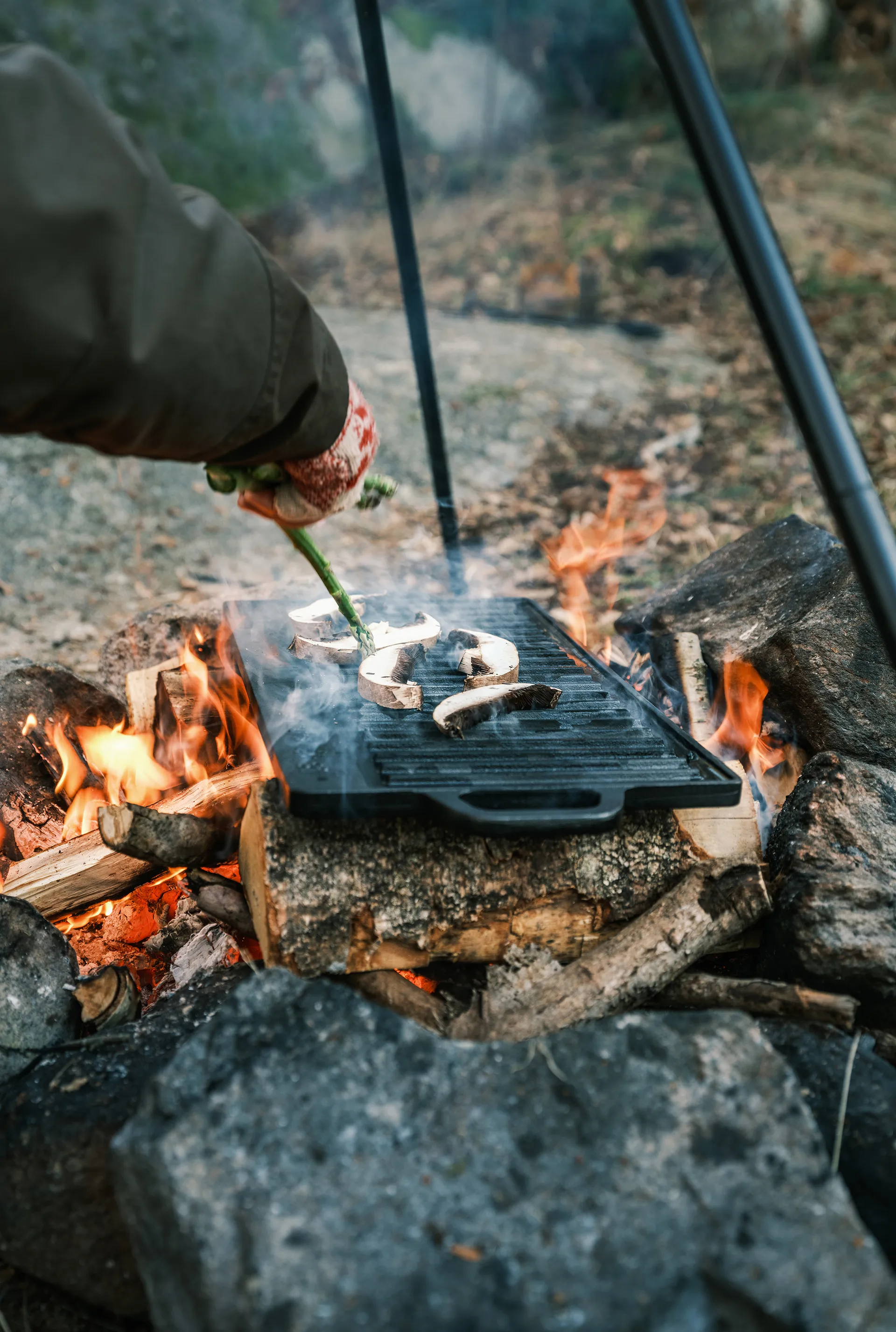 Satake paistotaso grilliin, 23x42 cm Satake