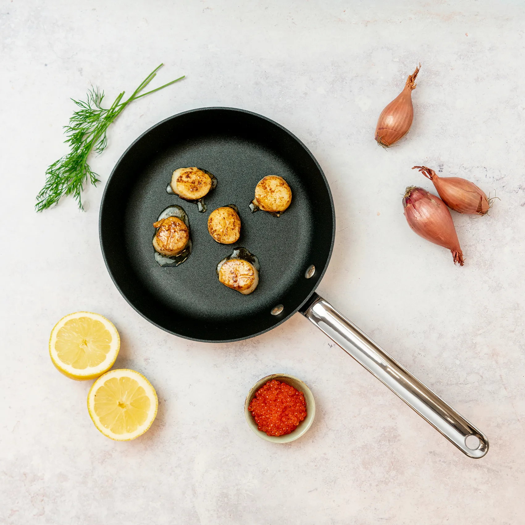 Scanpan TechnIQ -paistinpannu, Ø 22 cm Scanpan