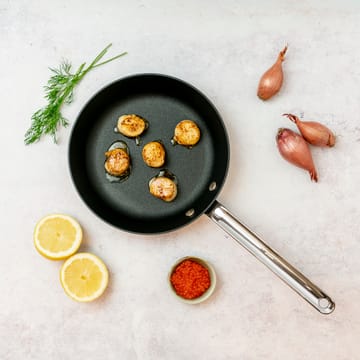 Scanpan TechnIQ -paistinpannu - Ø 22 cm - Scanpan