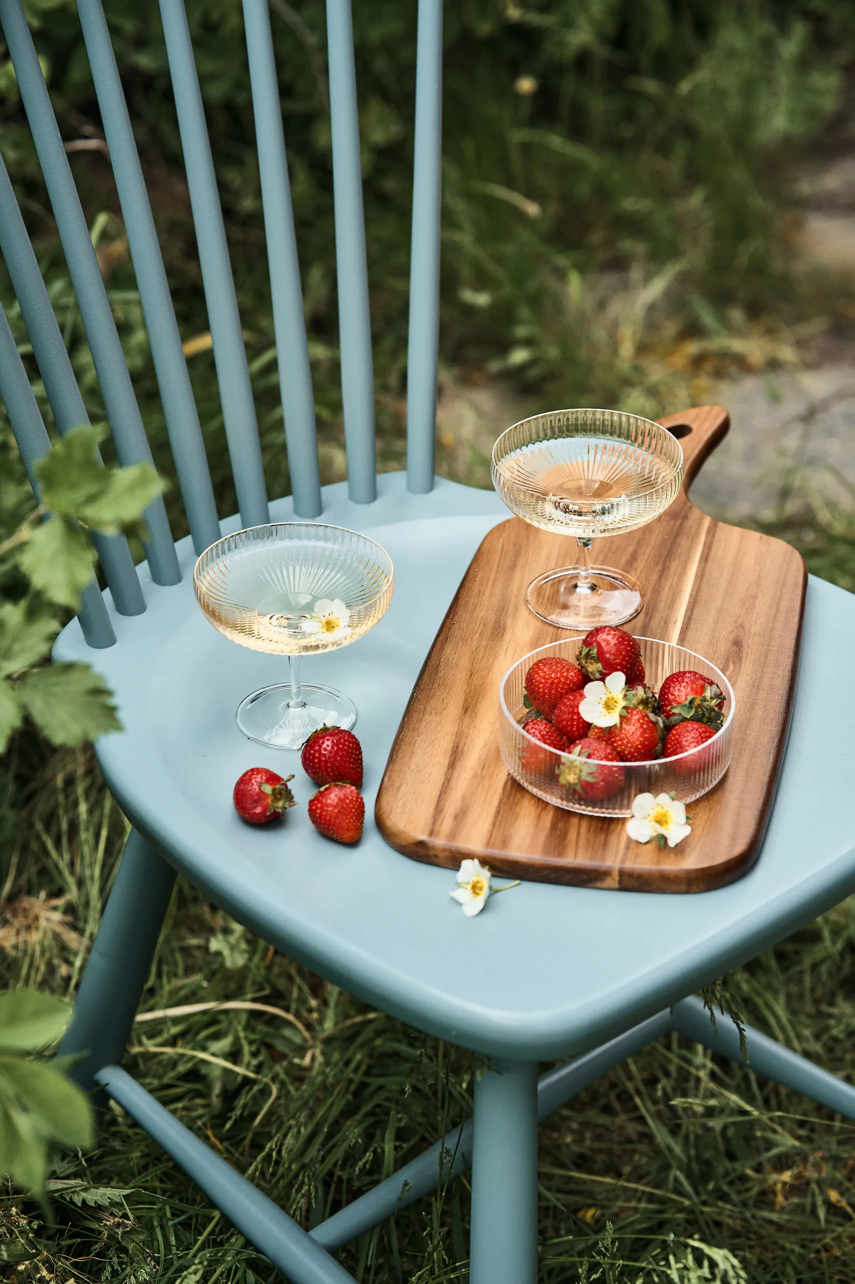 Inku champagne coupe -lasi 15 cl, Clear Serax