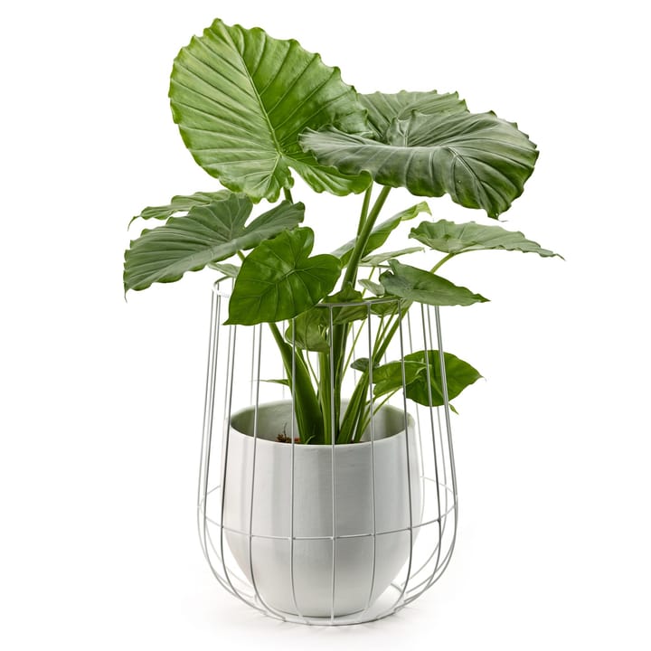 Serax kukkaruukku korissa 37x46 cm - White - Serax