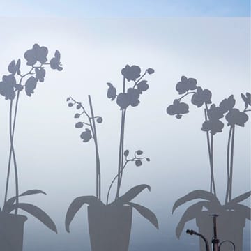 Orkidé ikkunakalvo - 34x98 cm - Siluett Frost