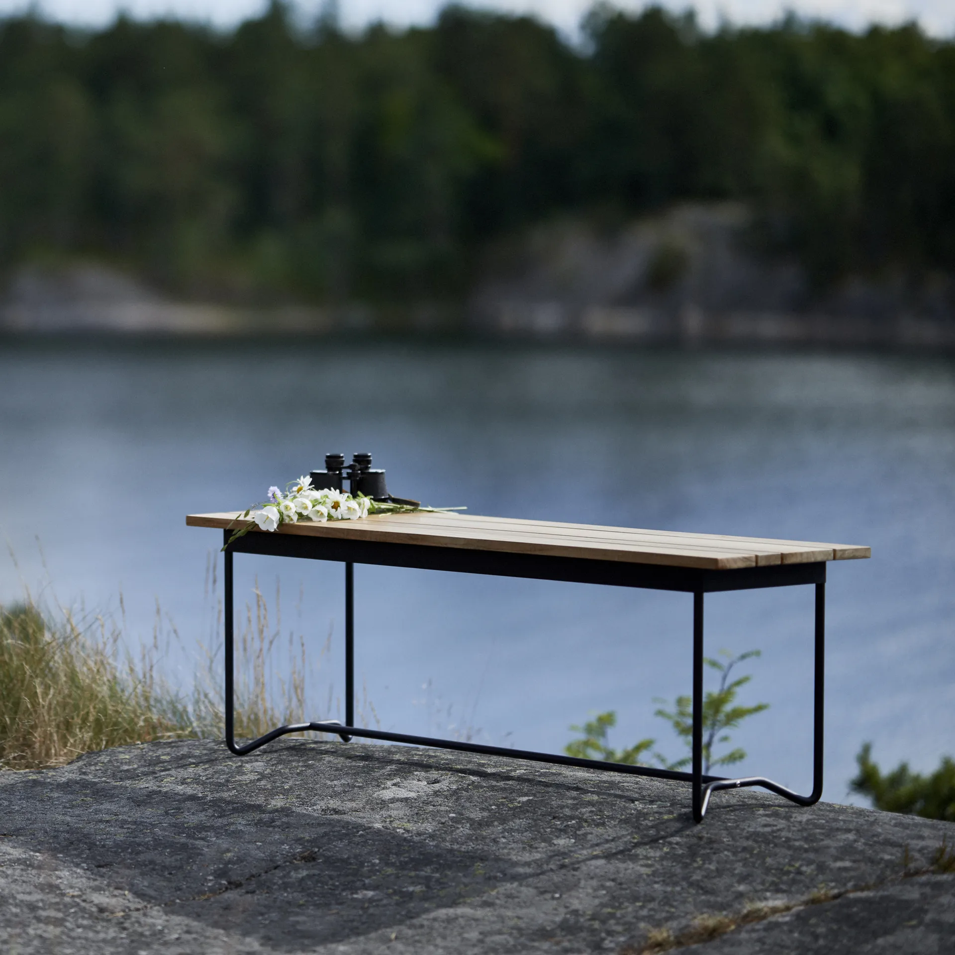 Grinda penkki, Tiikki, musta teline Skargaarden