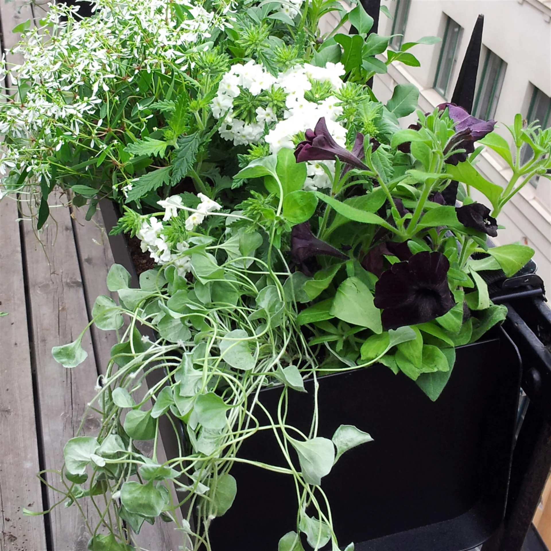 Jorda parvekelaatikko, Musta 100 cm SMD Design