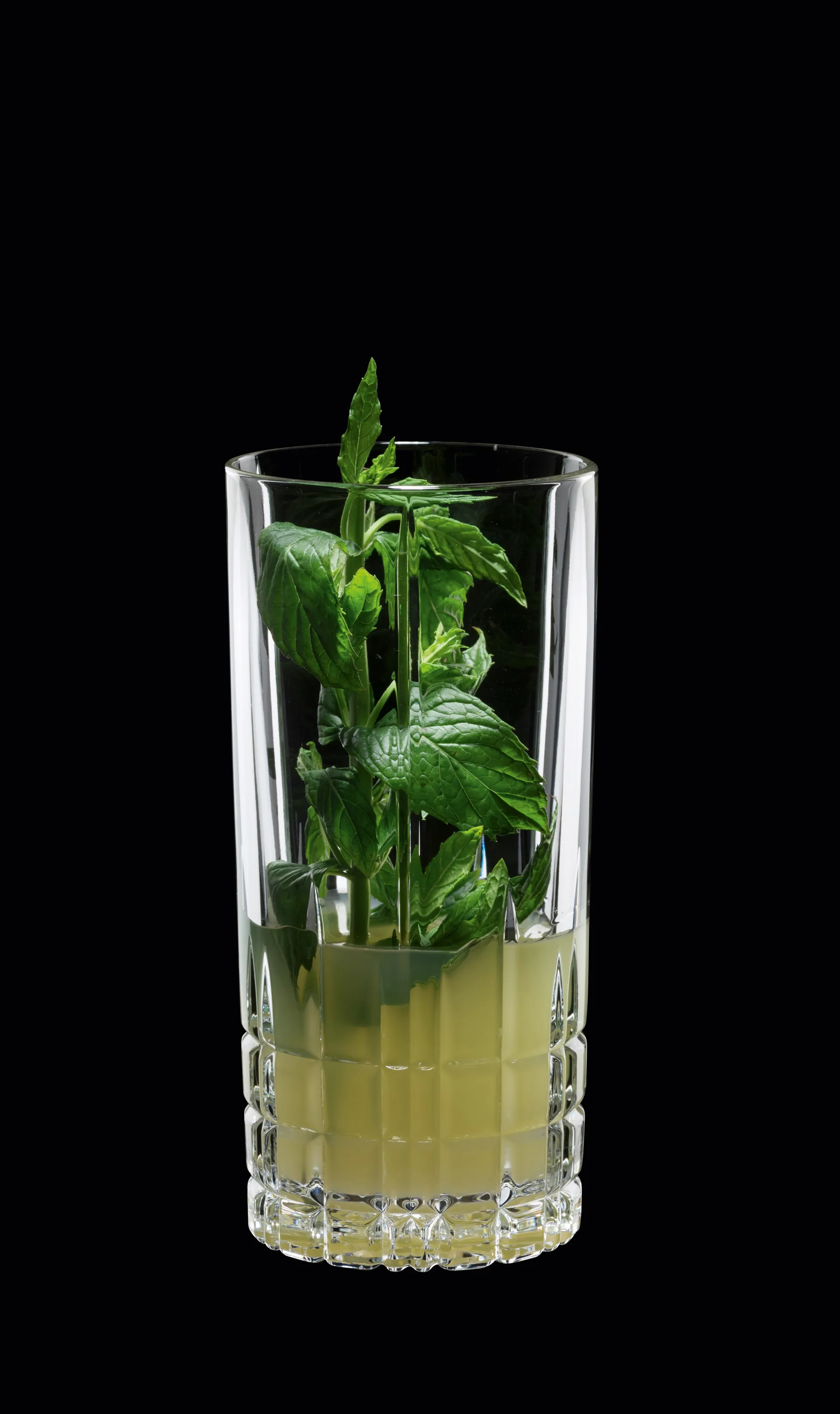 Perfect Serve -longdrink-lasi 35 cl. 4-pack, kirkas Spiegelau