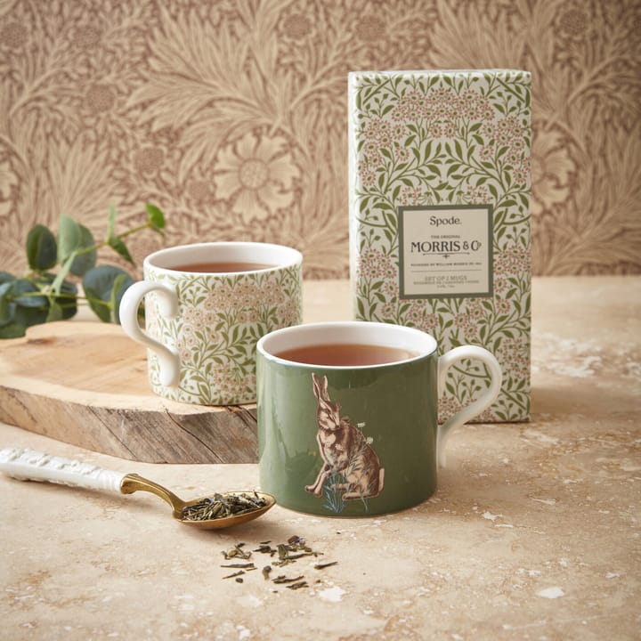 Forest Hare & Michaelmas Daisy -muki 34 cl 2-pakkaus - Vihreä - Spode