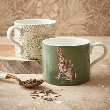 Forest Hare & Michaelmas Daisy -muki 34 cl 2-pakkaus - Vihreä - Spode