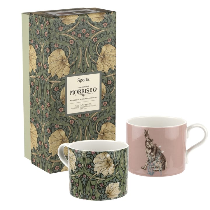 Pimpernel & Forest Hare -muki 34 cl 2-pakkaus - Vihreä-vaaleanpunainen - Spode