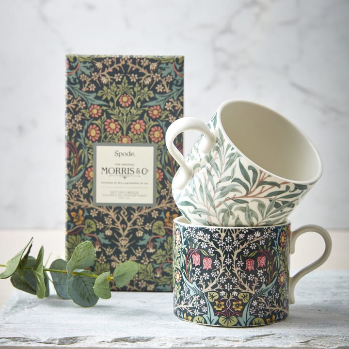 Willow Bough & Blackthorn -muki 34 cl 2-pakkaus - Multi - Spode