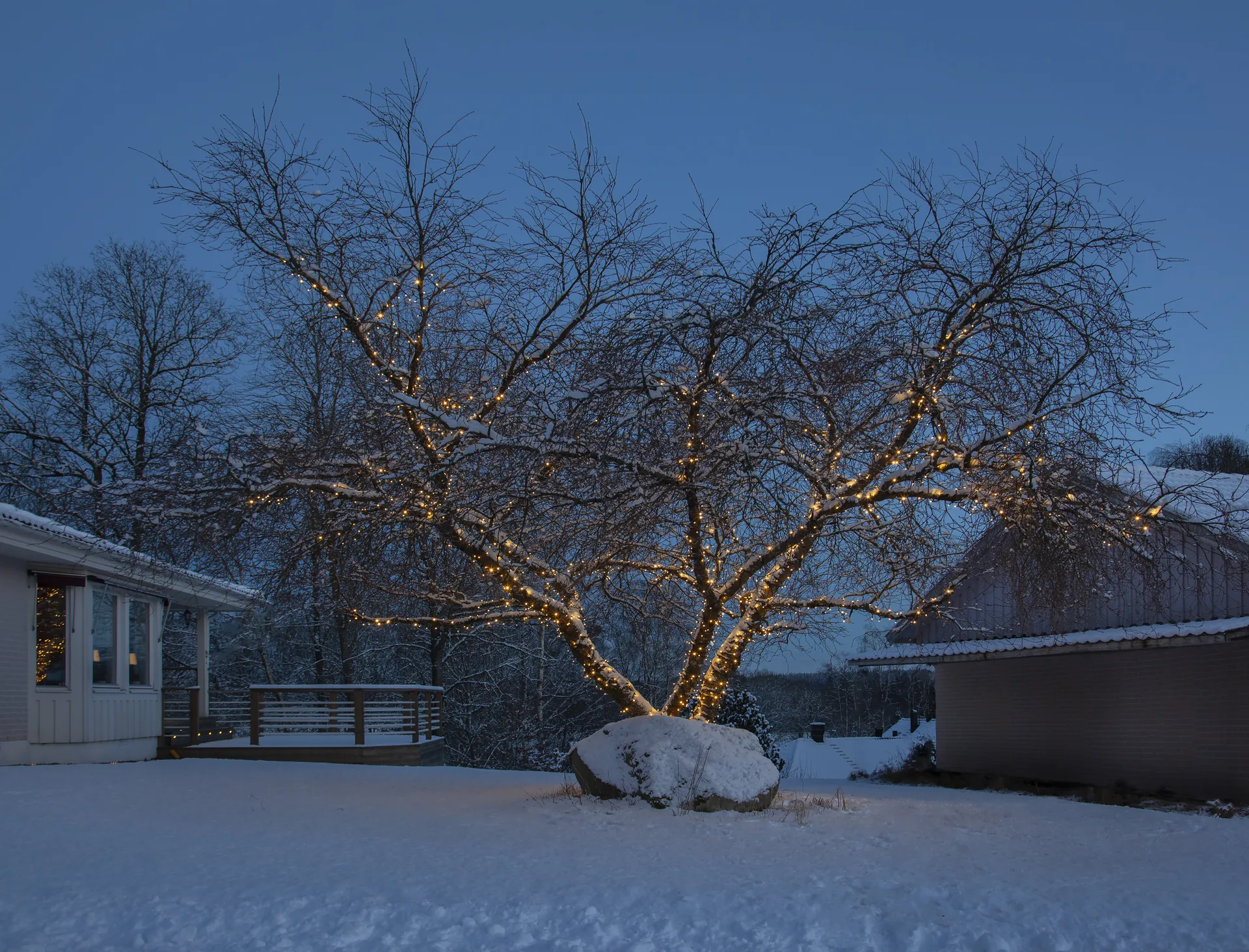 Star Trading system LED aloituskaapeli, 180 cm Star Trading