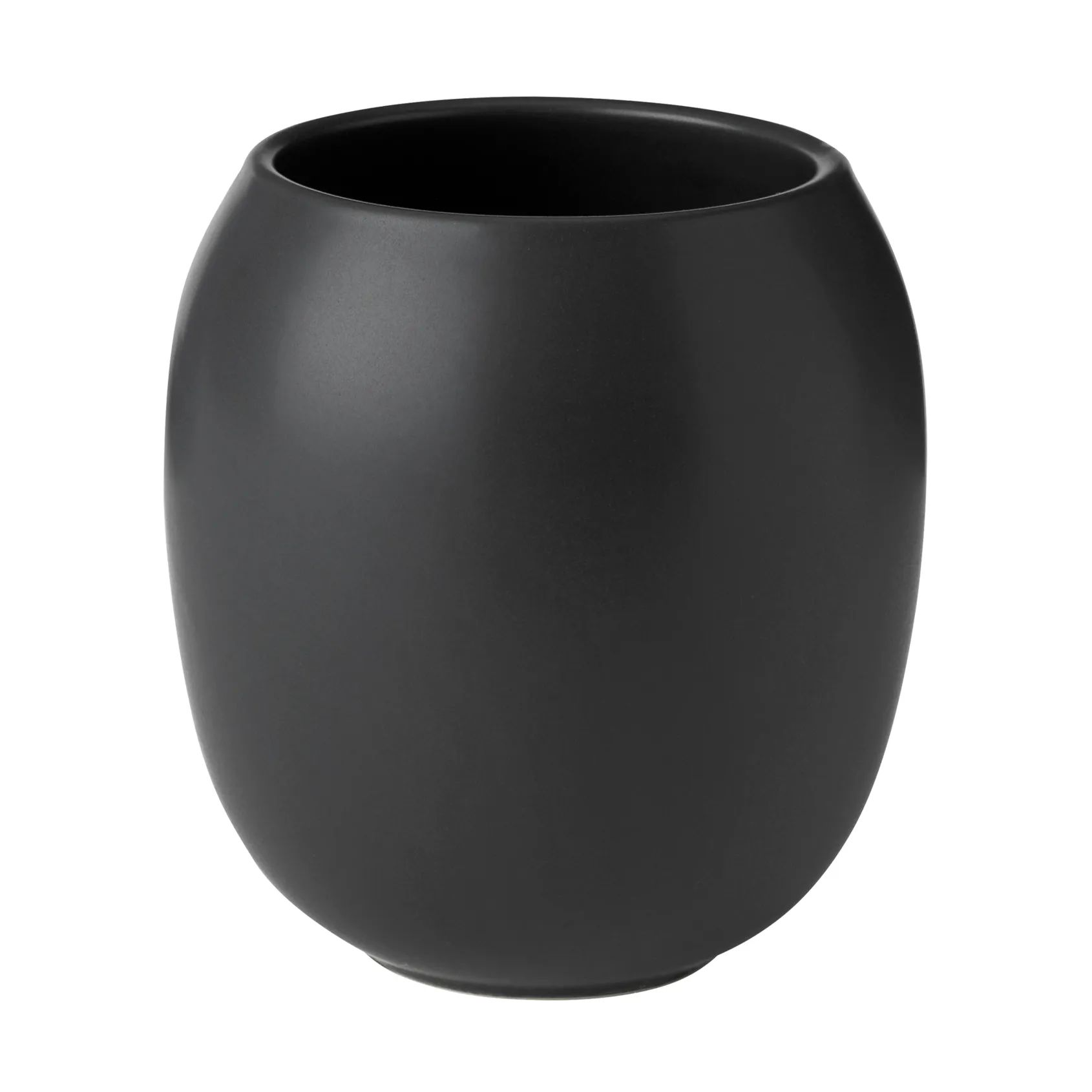 Fjord hammasharjamuki, Black Stelton