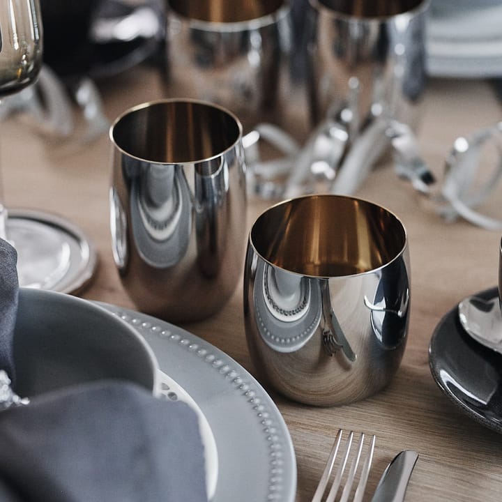 Foster juomalasi, 20 cl, ruostumaton teräs Stelton