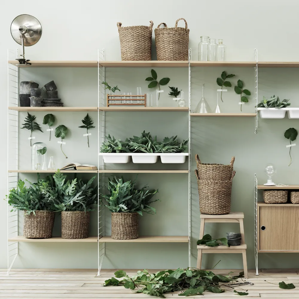 String kuppihylly, Beige, 78x30 cm String