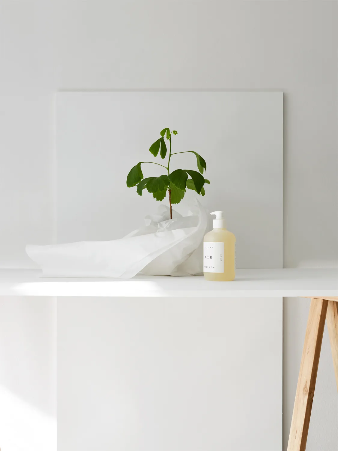 Fir käsisaippua, 350 ml Tangent