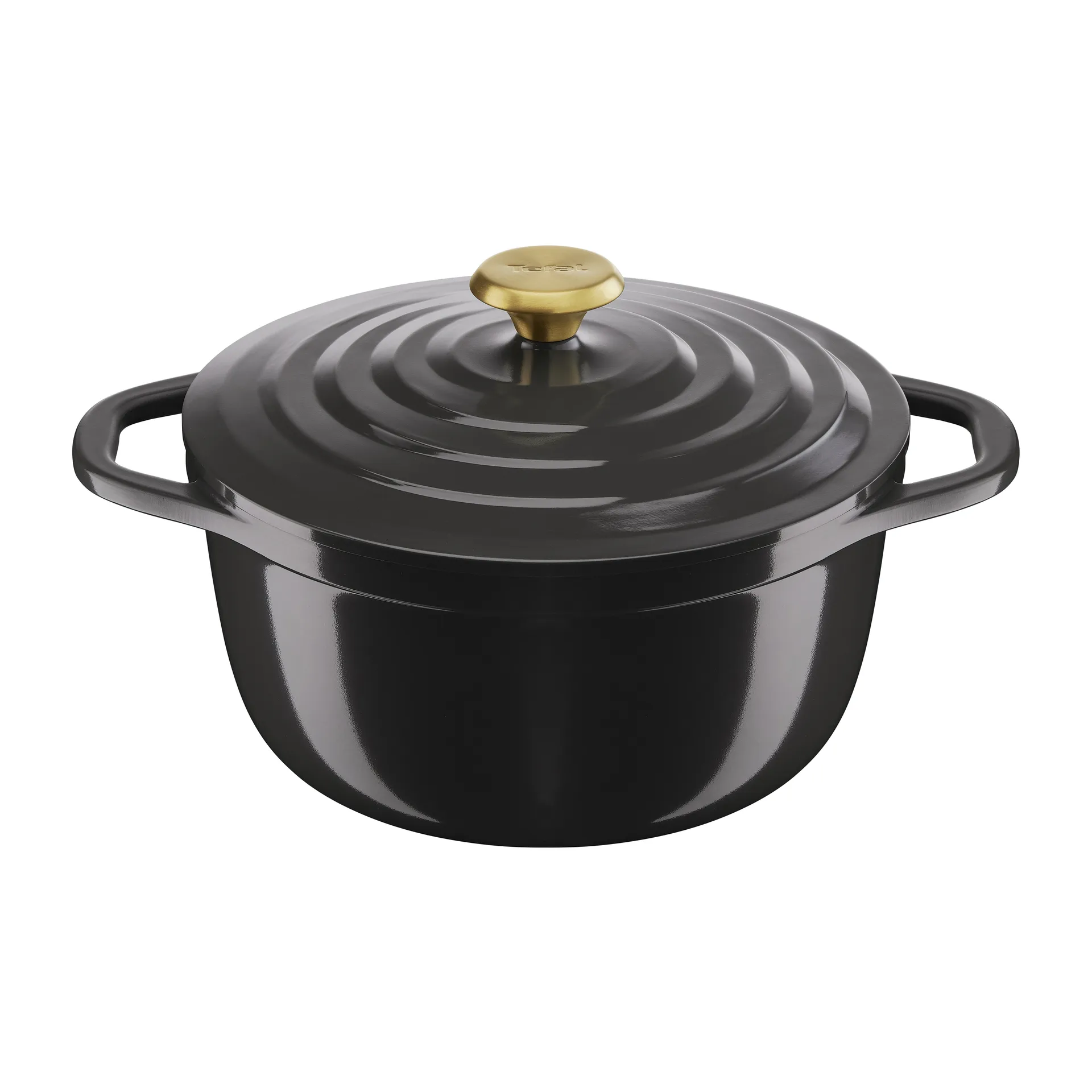Air pata 4,7 l, Harmaa Tefal