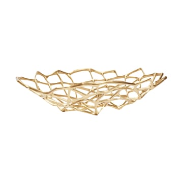 Bone kulho - Messinki, L - Tom Dixon