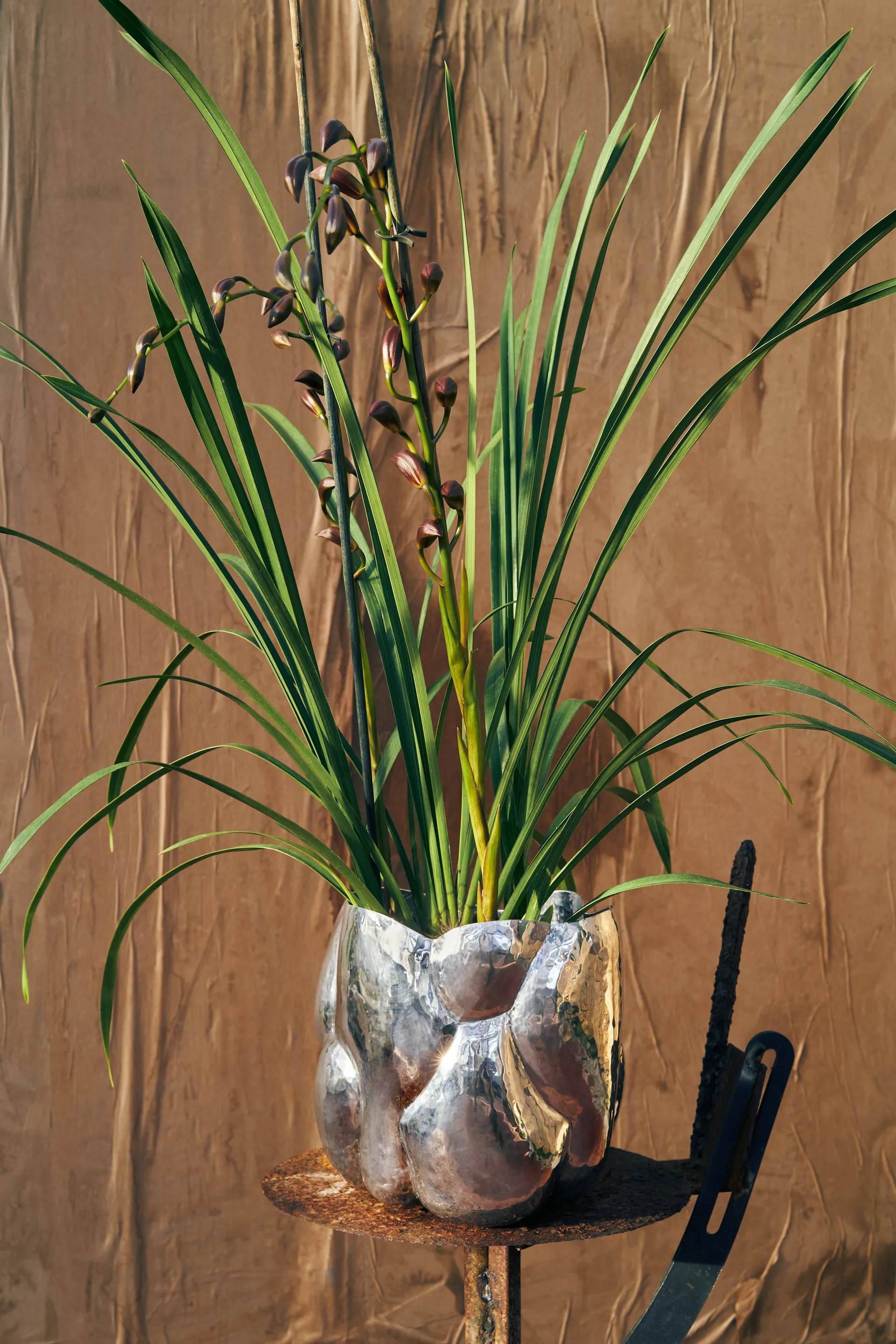 Cloud maljakko matala, Hopea Tom Dixon