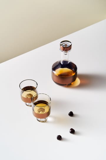 Tank Low Ball juomalasi 24 cl 2-pack - Clear-copper - Tom Dixon