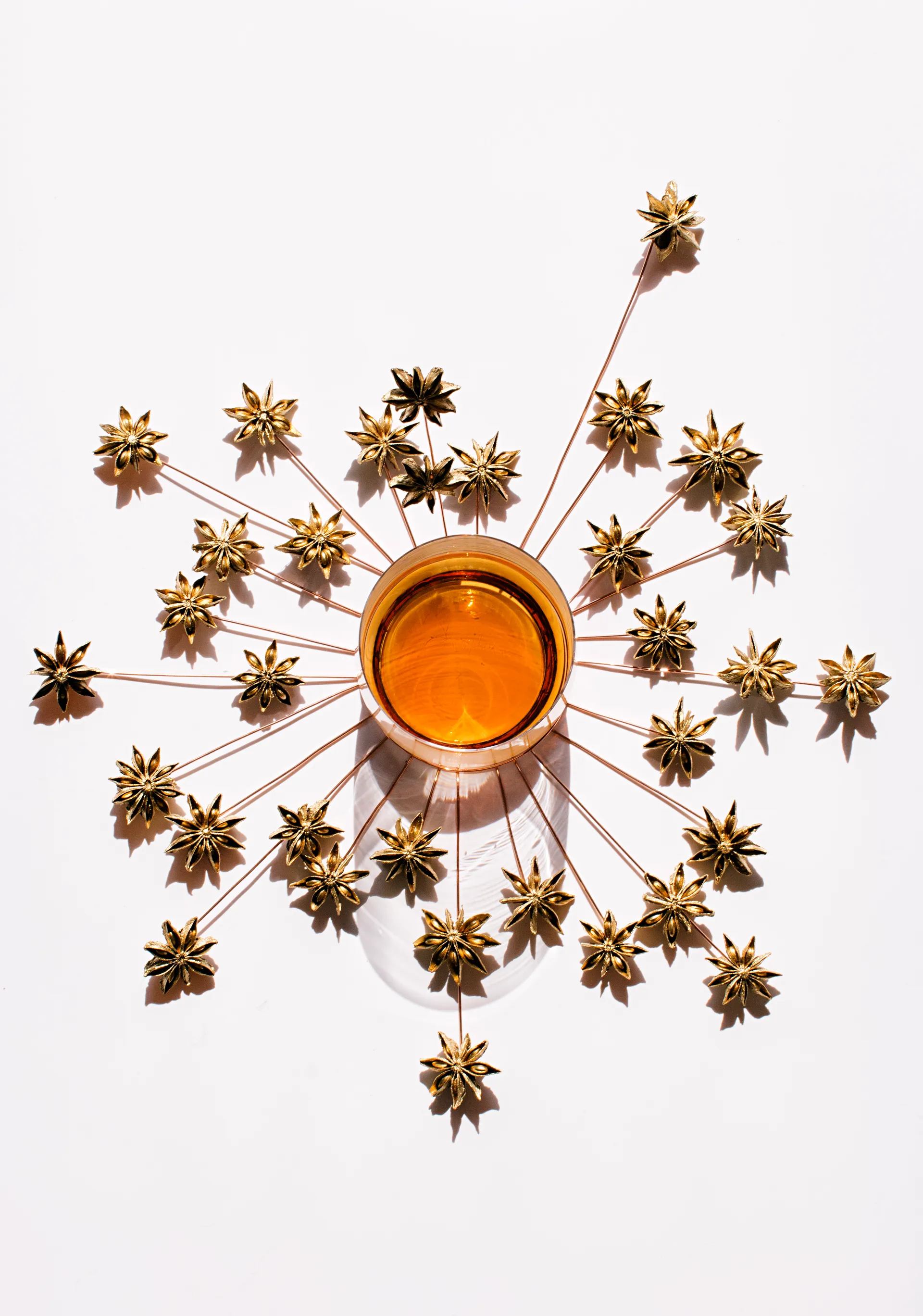 Tank whiskylasit 30 cl 2-pack, Clear-copper Tom Dixon