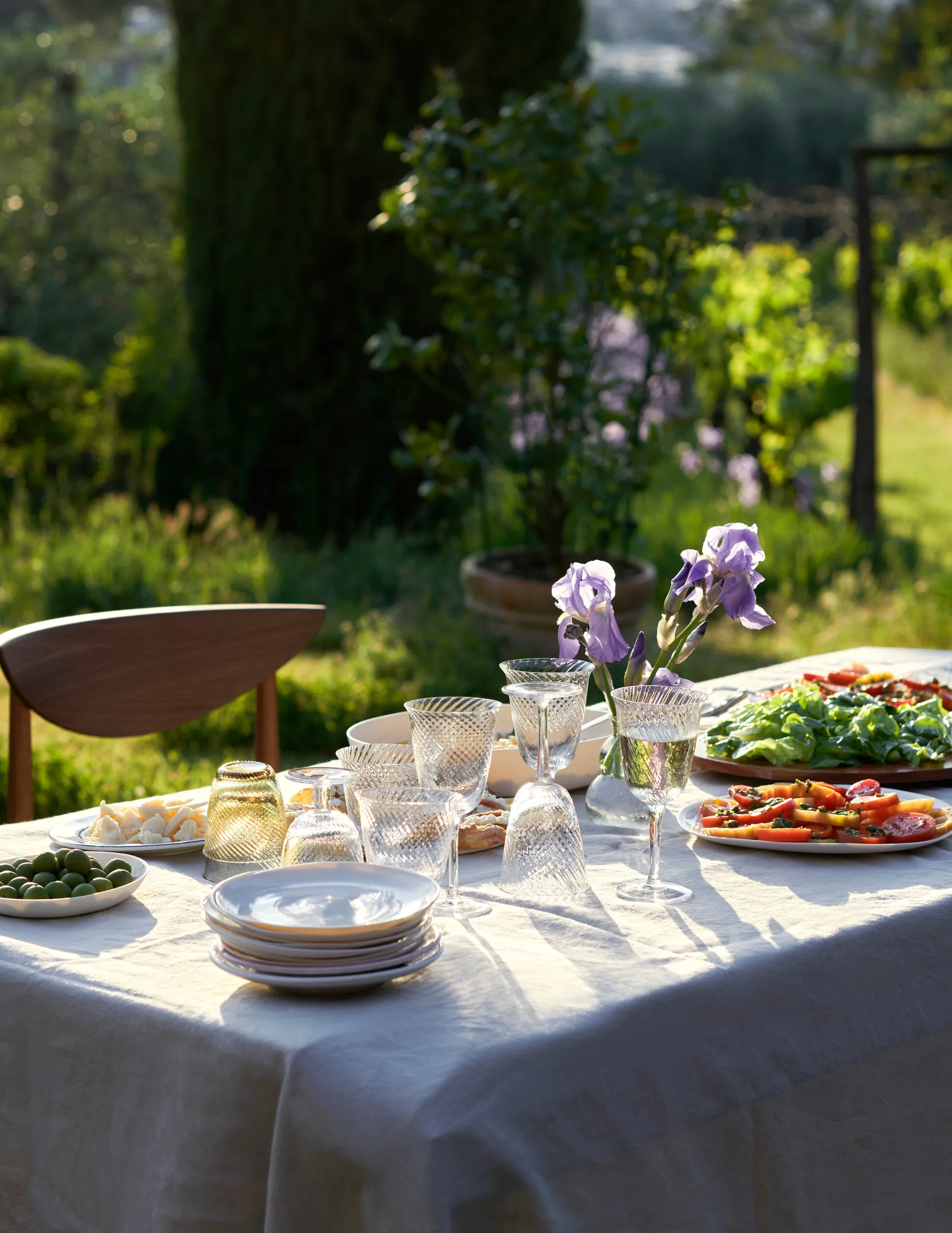 Collect SC80 -viinilasi 2-pakkaus, Clear &Tradition