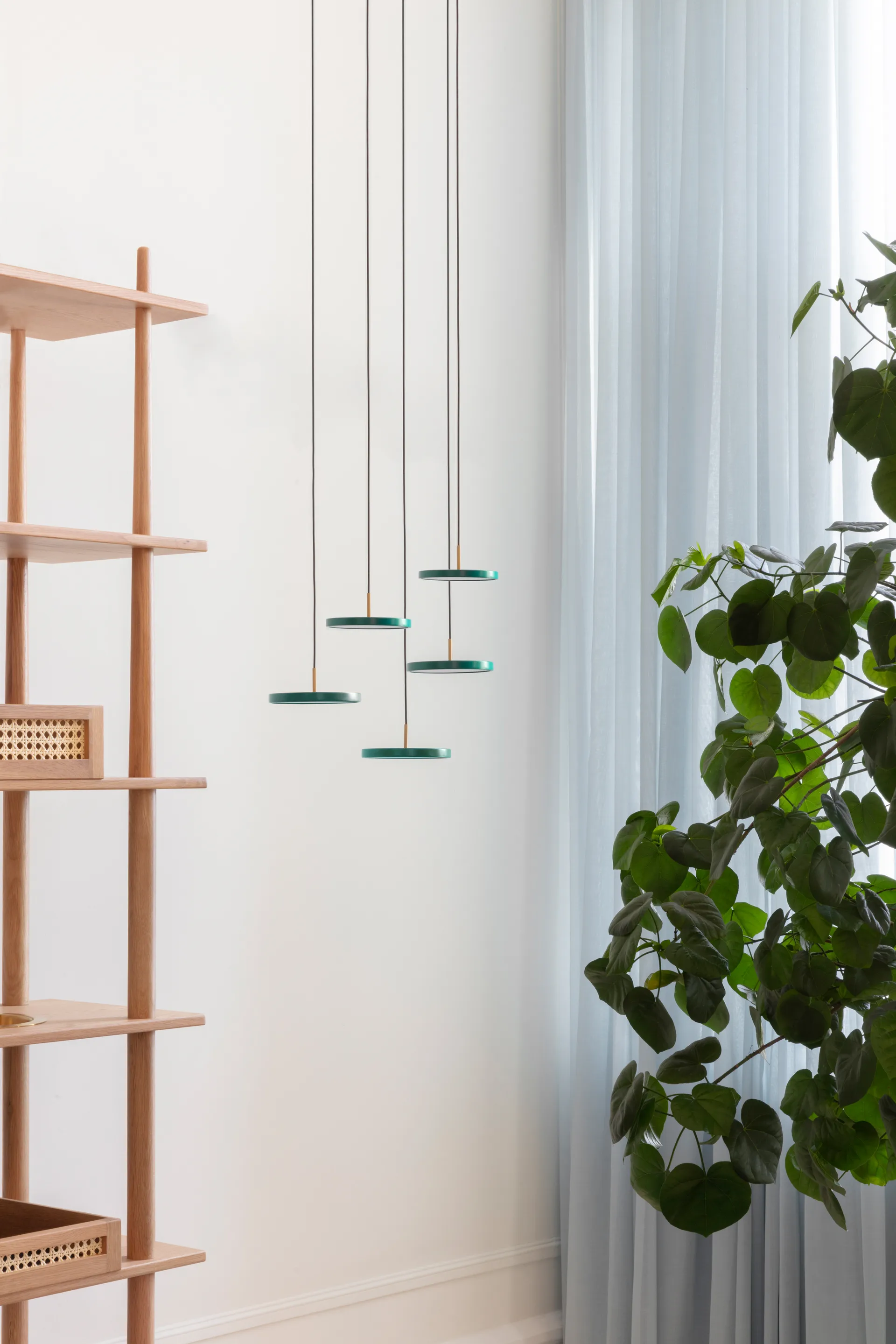 Asteria Micro -kattovalaisin, Forest Green Umage