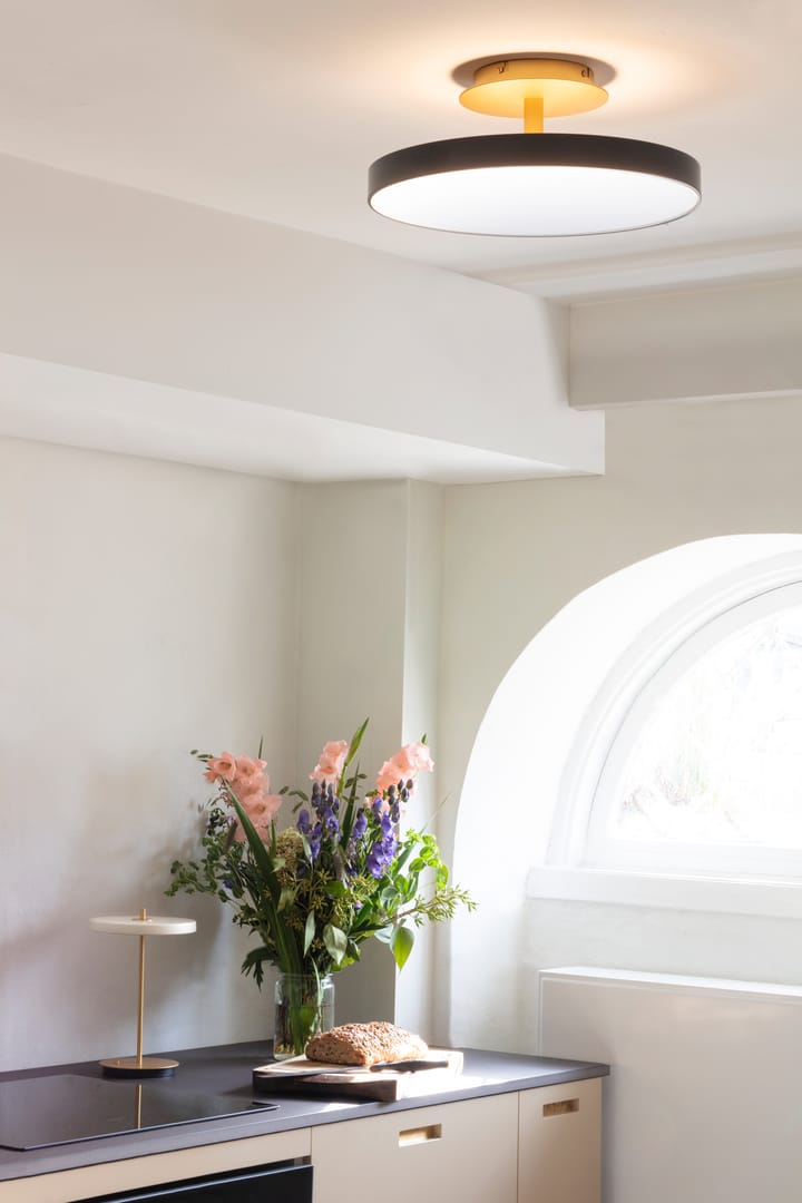 Asteria Up plafondi medium, Anthracite grey Umage