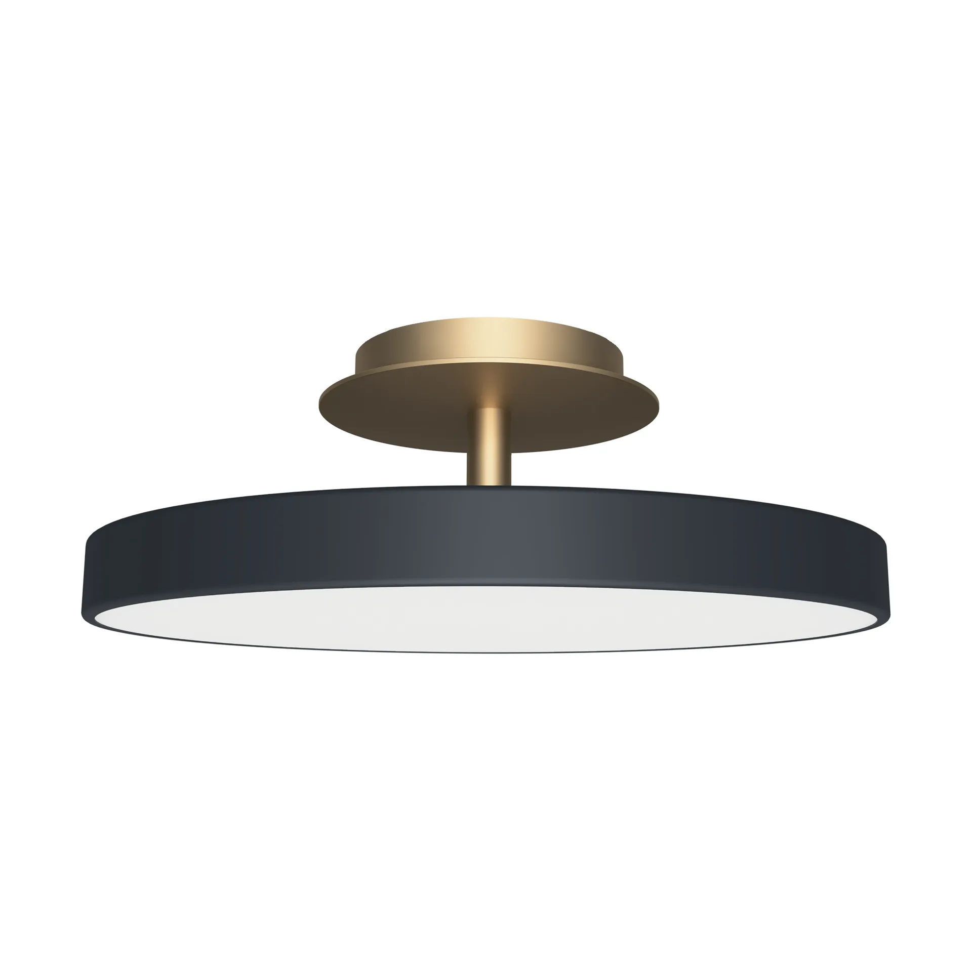 Asteria Up plus mini, Antrasiitti Umage