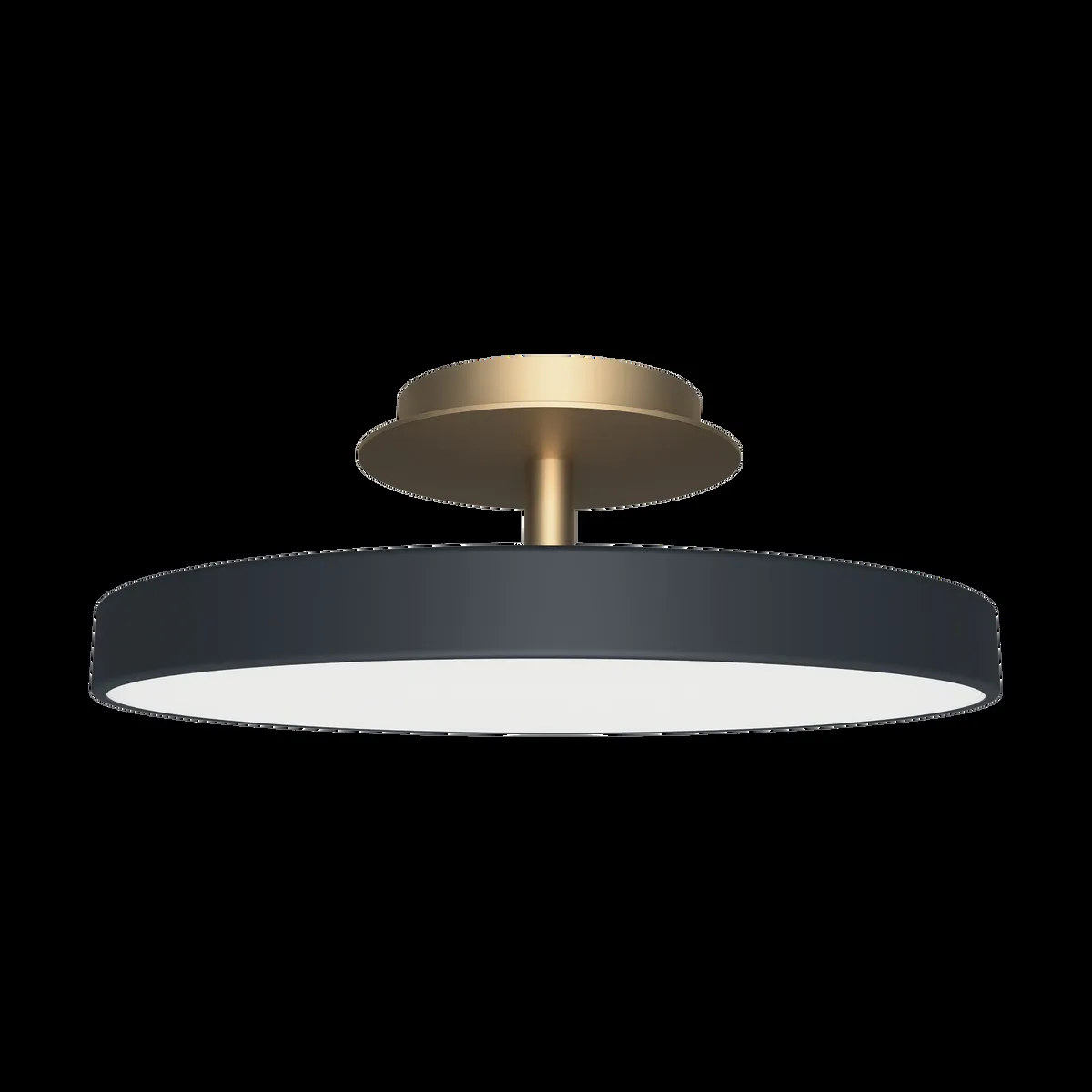 Umage Asteria Up plus mini Antrasiitti