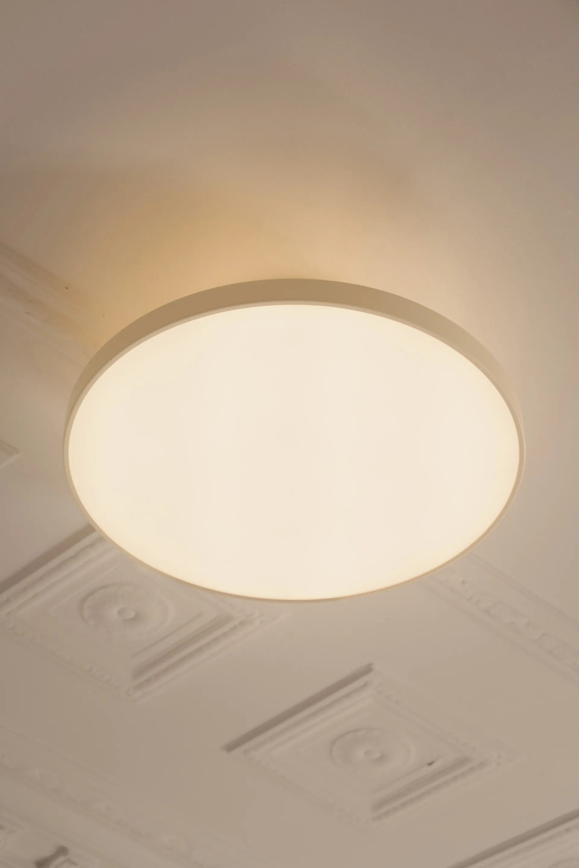 Asteria Up plus mini, Antrasiitti Umage