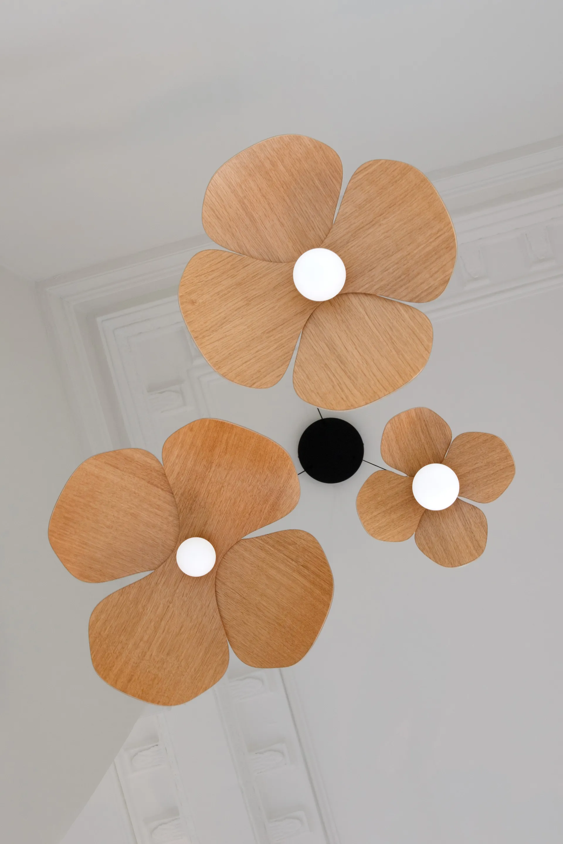 Forget Me Not riippuvalaisin medium, Tammi cluster Umage