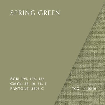The Reader -nojatuoli tumma tammi - Spring green - Umage