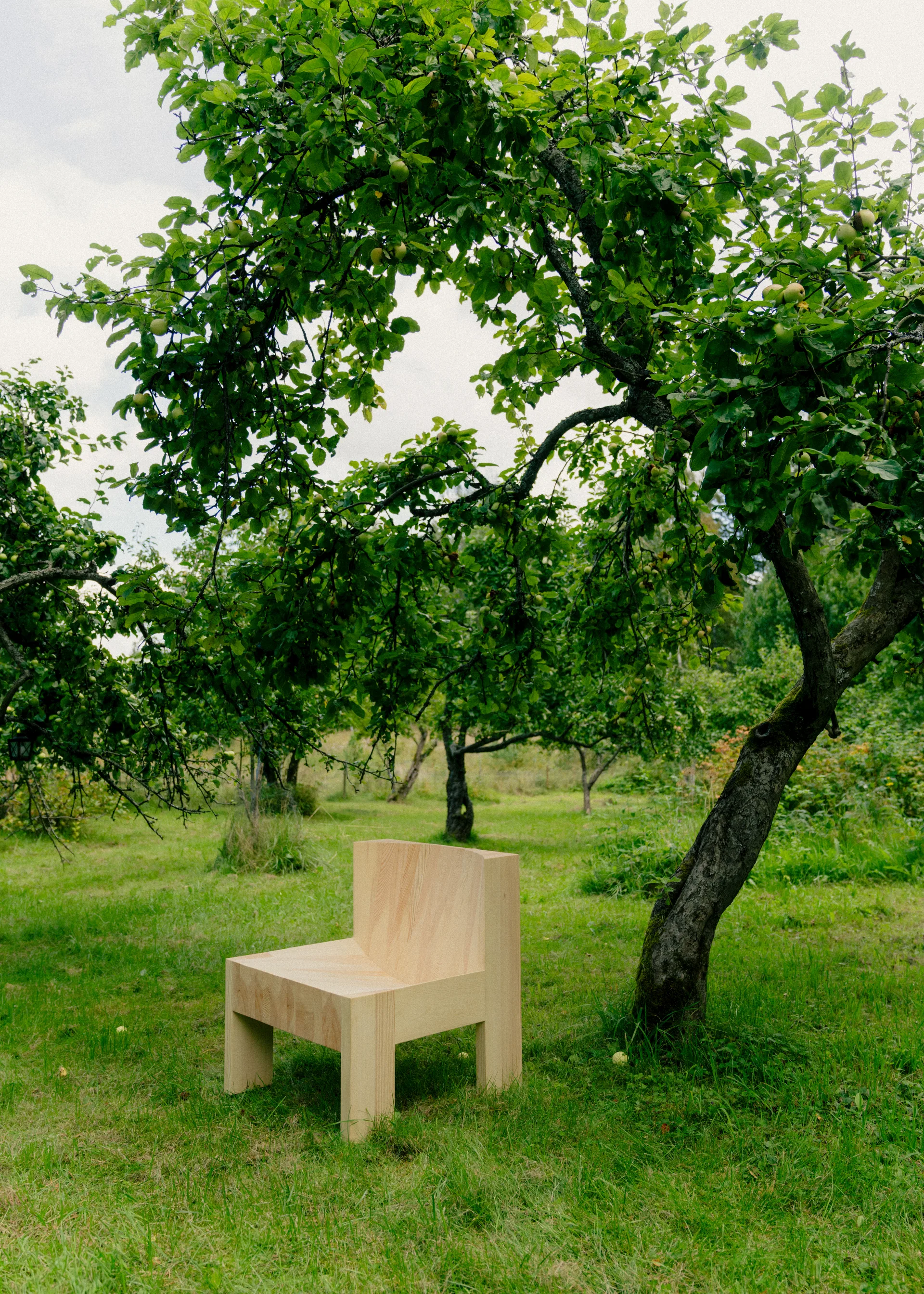 005 Lounge Chair lepotuoli, Matta öljyvahattu mänty, Vaarnii