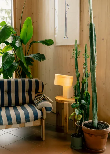 018 Hoop Table Lamppu pöytälamppu - Matta öljyvahattua mäntyä, 23 cm - Vaarnii