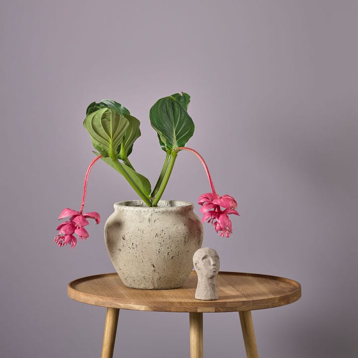 Loev ruukku, Harmaa, keskikokoinen Ø30.5 cm Villa Collection