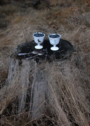Alveskog jälkiruokakulho jalalla Ø11 cm - Valkoinen - Wik & Walsøe