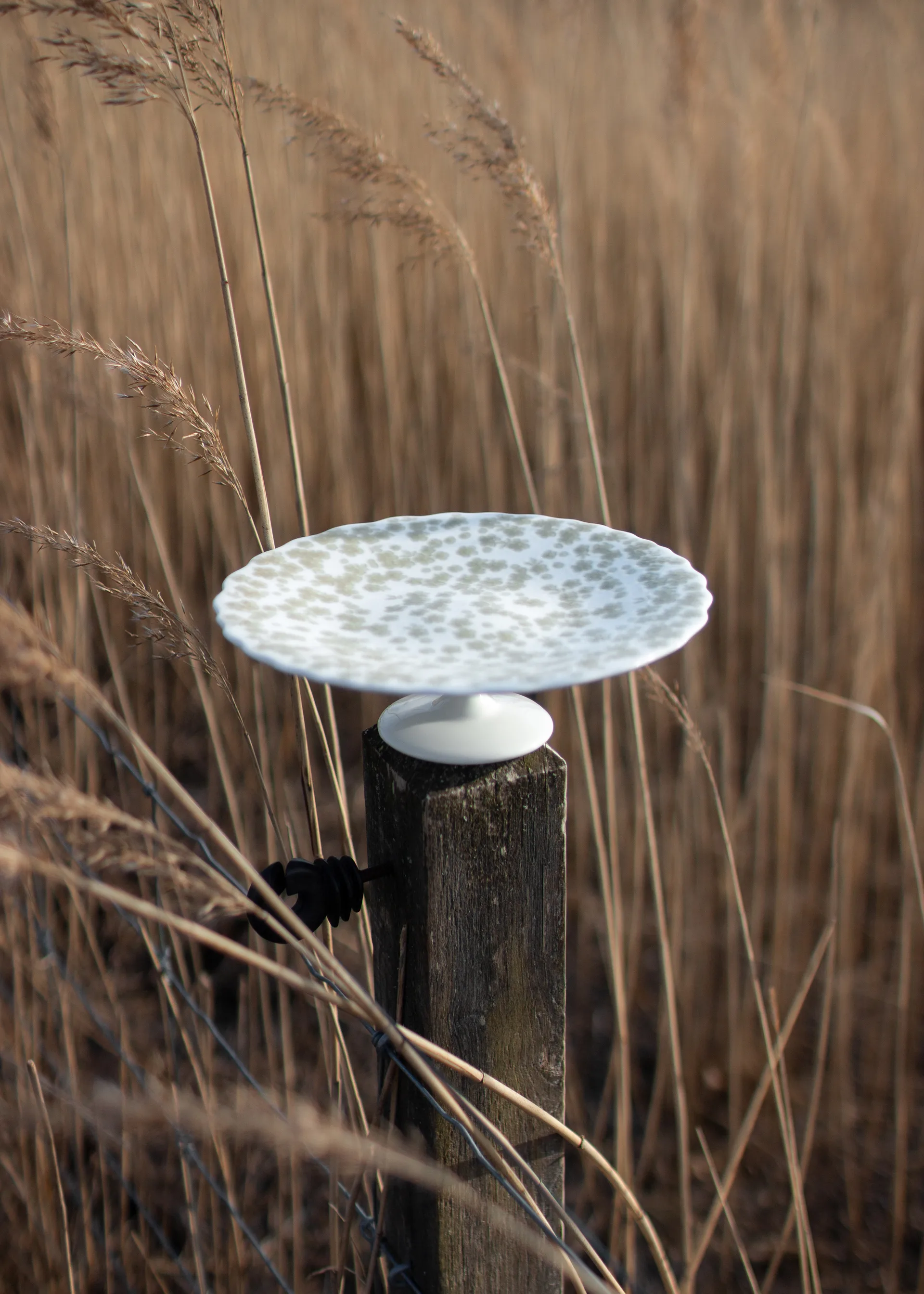 Slåpeblom kakkulautanen Ø21 cm, Vihreä Wik & Walsøe