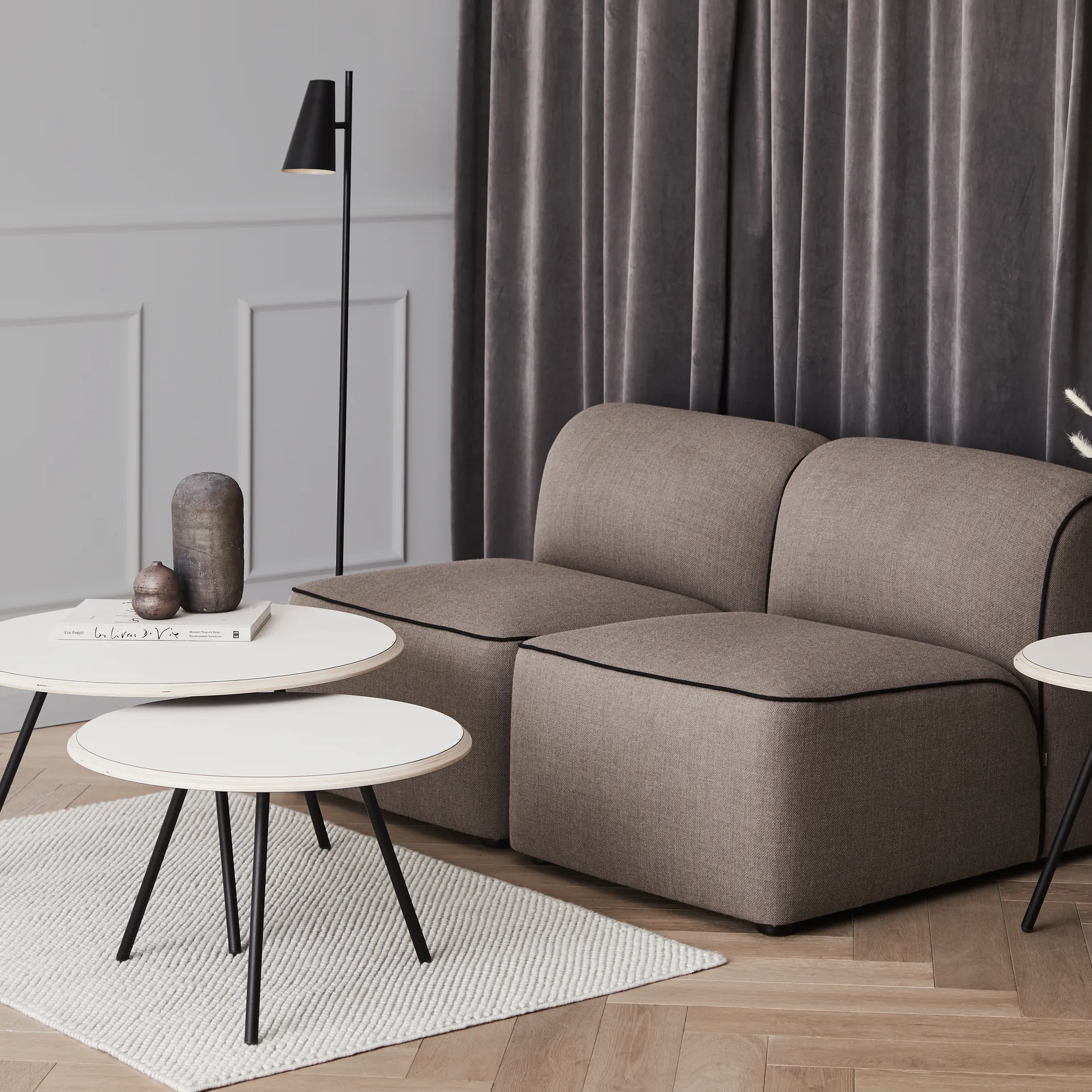 Cono lattiavalaisin, Musta Woud