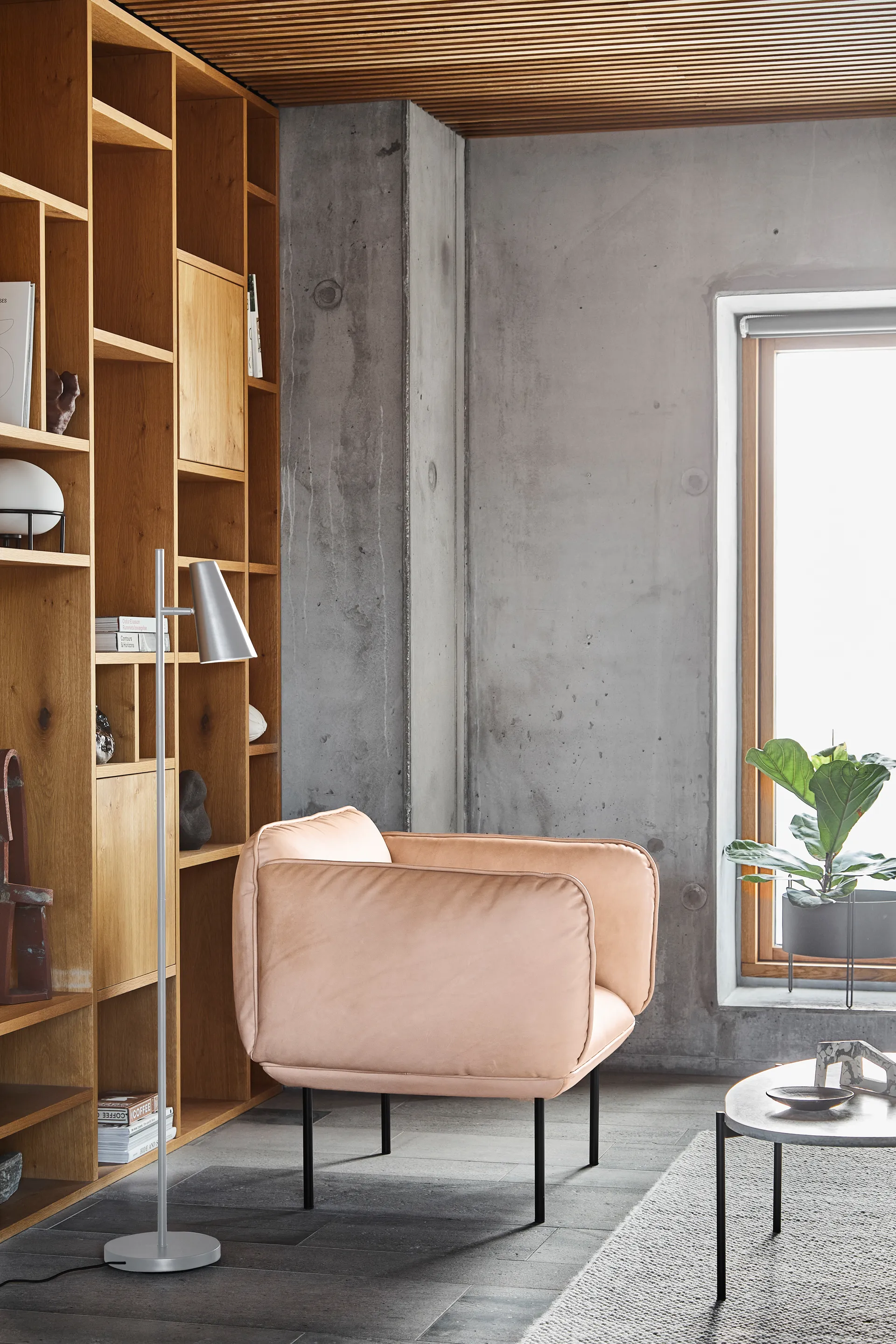 Cono lattiavalaisin, Satin Woud