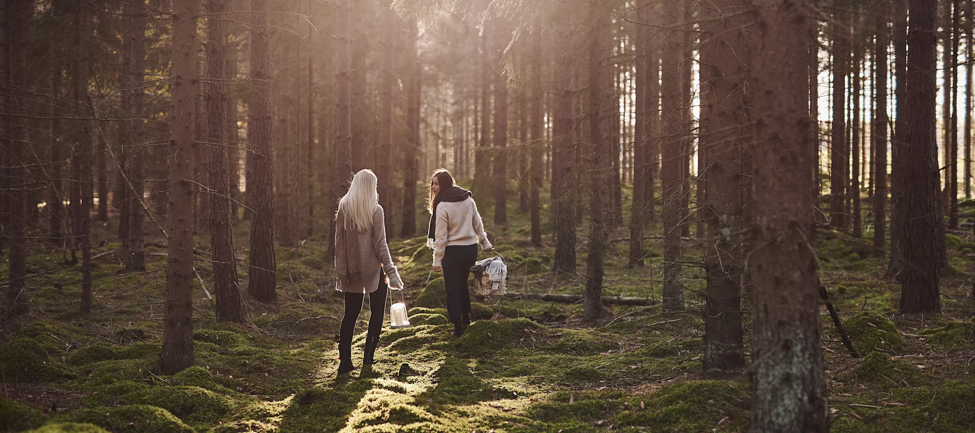 Syksyisessä To-Do listassa annamme sinulle paljon vinkkejä siitä, mitä voit tehdä tänä syksynä Skandinaviassa - esimerkiksi kävellä metsässä ja kerätä sieniä.