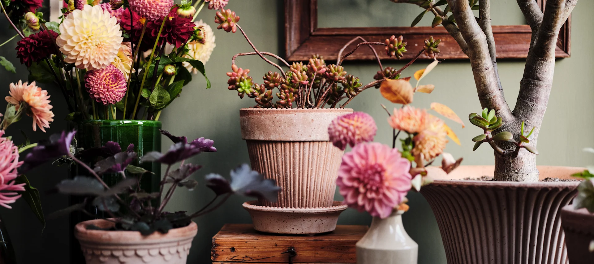 Äitienpäivälahjat: Bergs Potterin kokoelma erilaisia kukkia erilaisissa kukkaruukuissa.