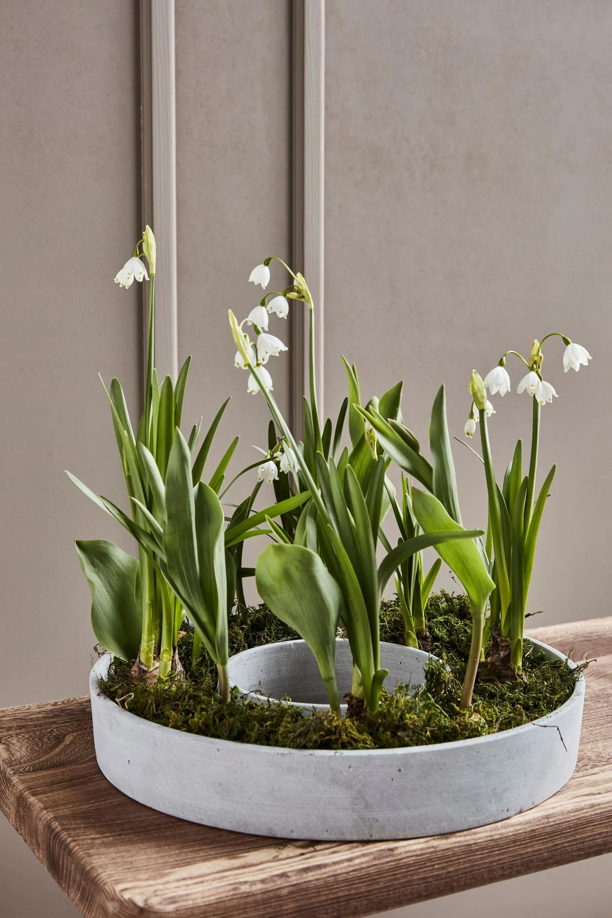 The Ring -kynttilänjalka, joka on koristeltu laaksonliljalla House Doctorilta.