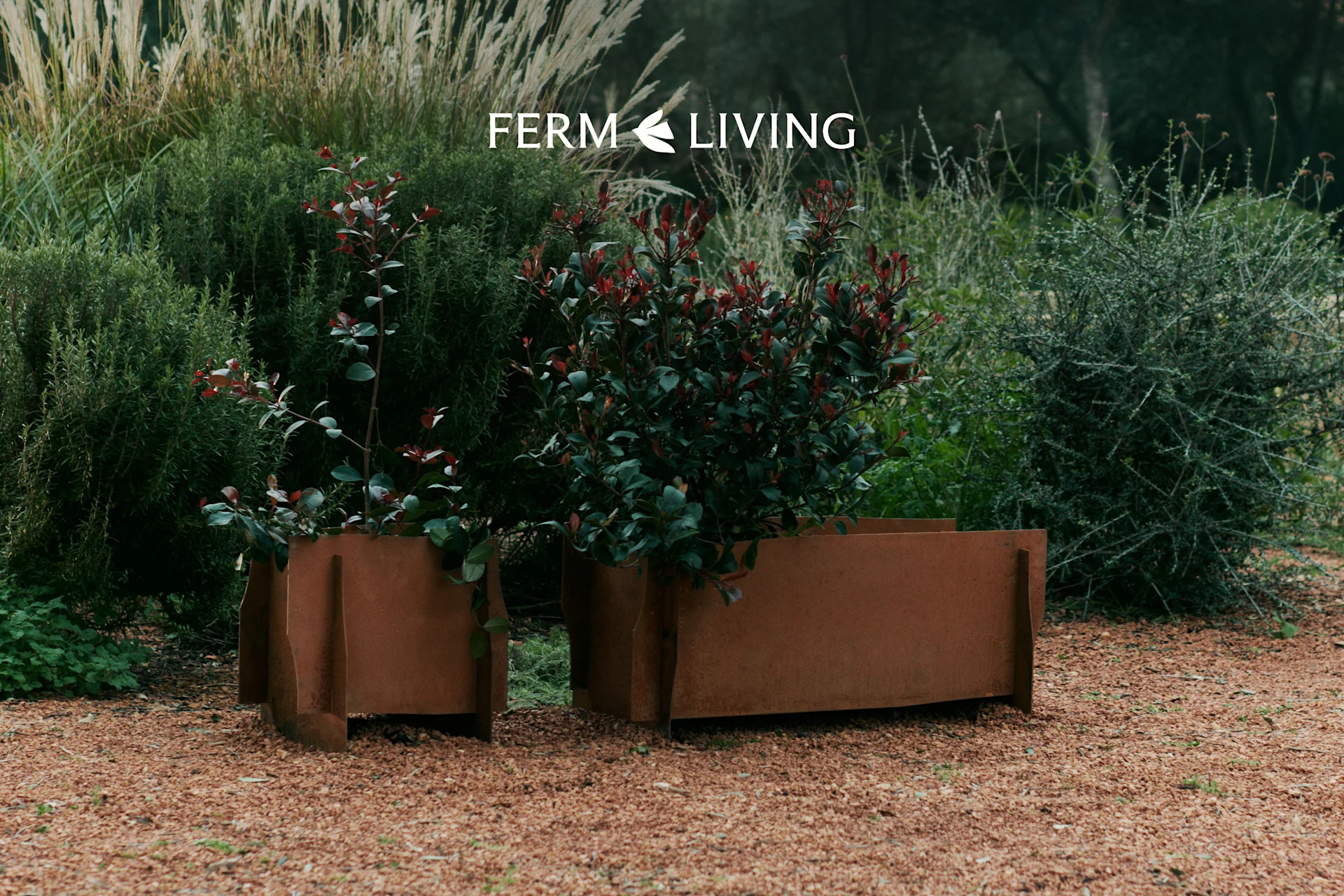 Kaksi patinoitunutta metallista istutuslaatikkoa vihreä- ja punalehtisine kasveineen soralla. Ferm Living -logo.