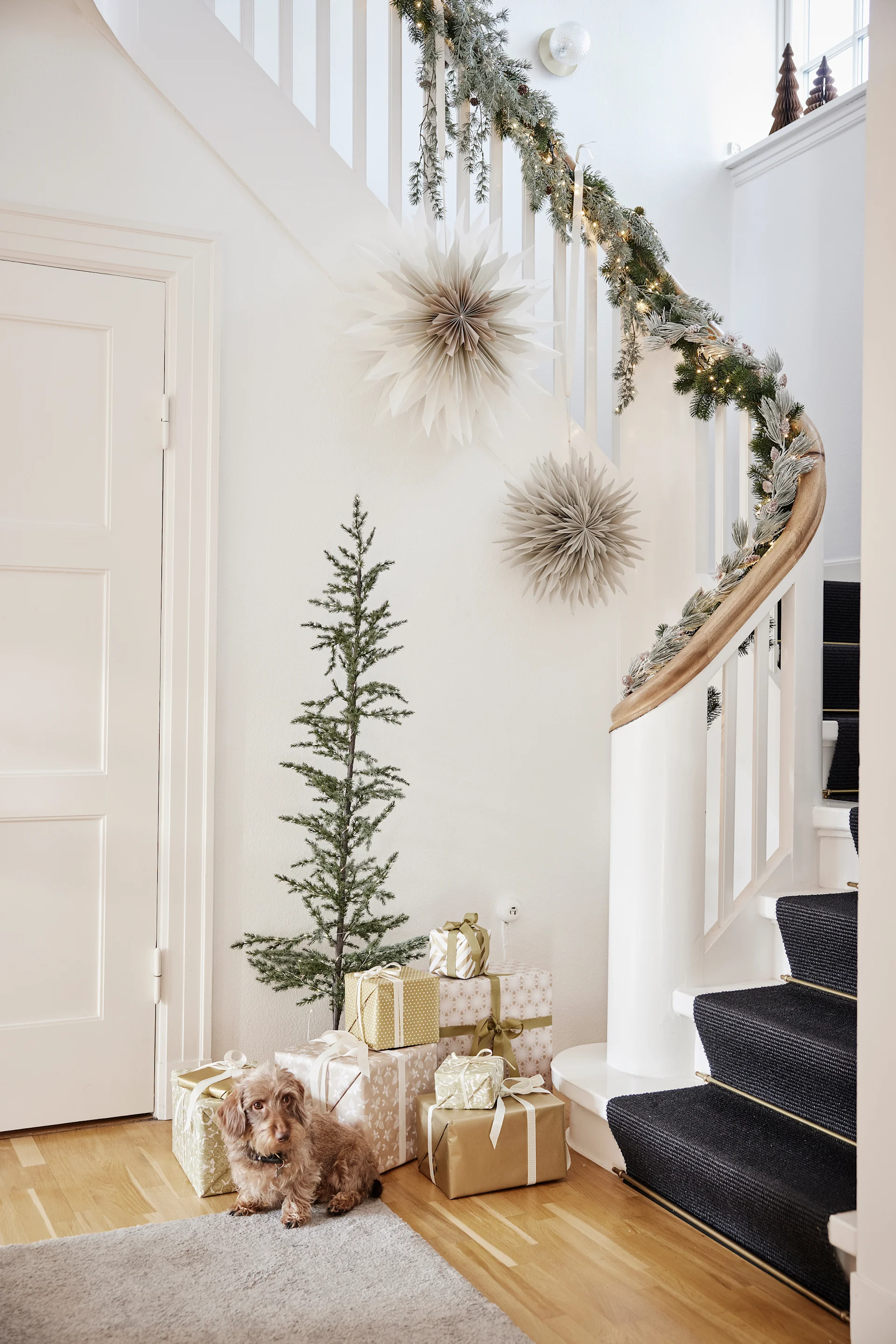 Paperiset tähtilyhdyt jouluksi roikkuvat portaikossa joulukuusen, lahjapakettien ja pienen koiran yläpuolella. 