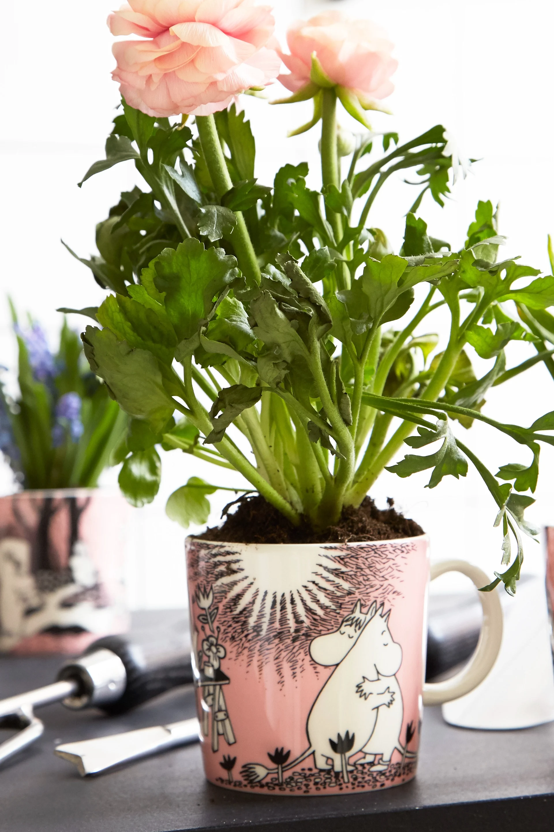 Muumikuppiin ”Love” istutettiin ruusukimppu.