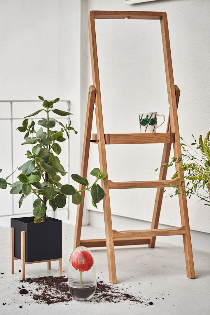 Step - tikkaat tammesta Design House Stockholmilta portaikossa, vieressä musta istutusastia, Grow-terraario, jossa on kukka ja vihreä Elsa Beskow -muki.
